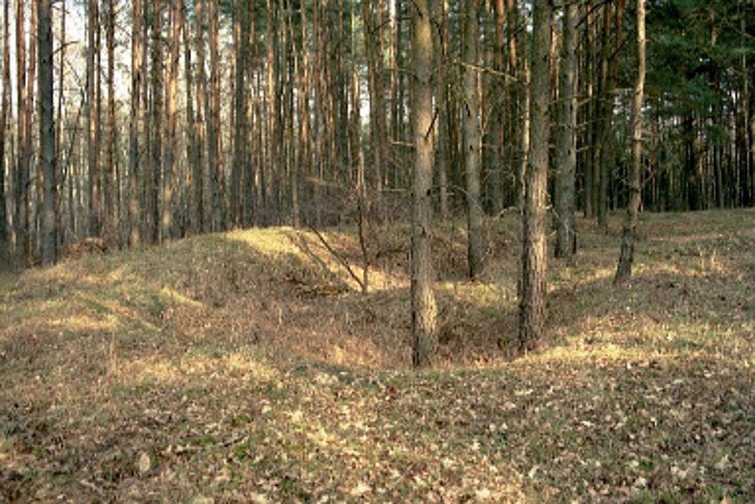 Abbildung 10: vermutliche Lage des alten Teerofen zwischen Vosswinkel und Groß Trebbow am Ffloßgraben (Foto: WATERSTRAAT 2004)